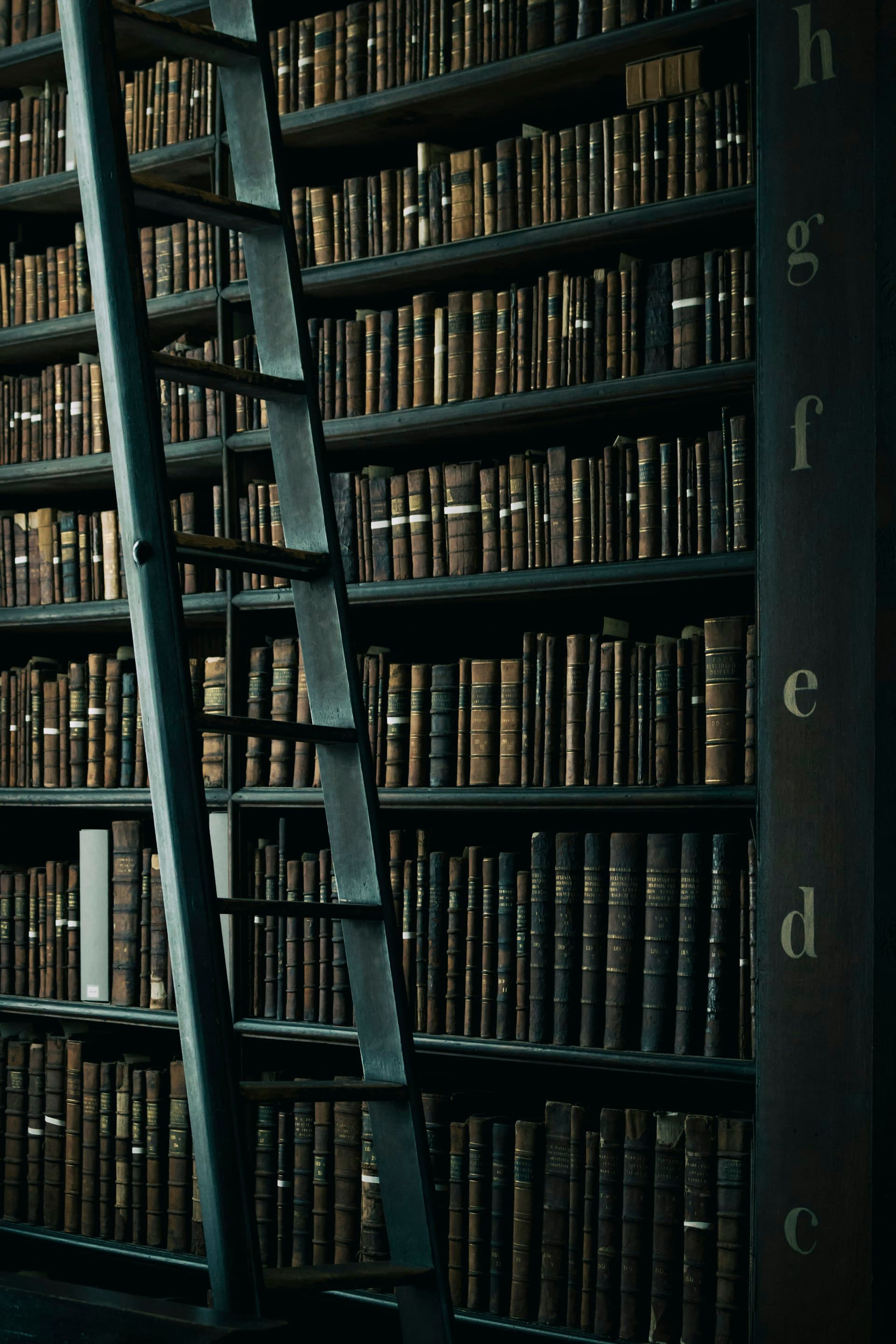 Library resource shelves
